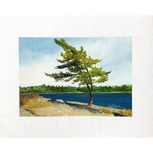 8x10 Ontario Original Oil Painting Coastal Pine Tree Georgian Bay Canada Signed
